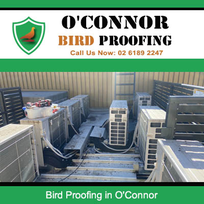 Commercial rooftop bird proofing service in O'Connor